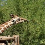 FITS_134 (May 04, 2019)